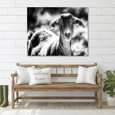 Cottage Home Black and White Goat Art Print