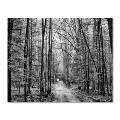black and white tree art art prints for sale