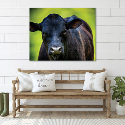Rural Farmhouse Cow Wall Art