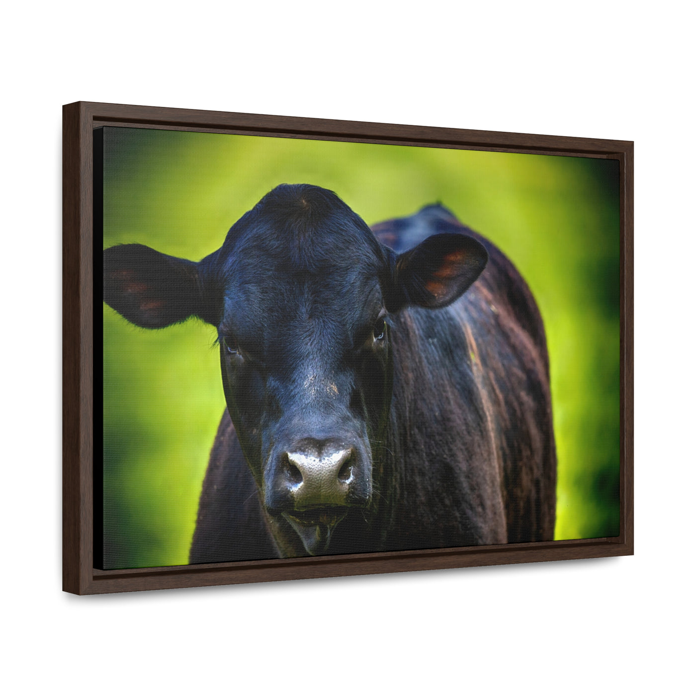 Framed Cow Wall Art