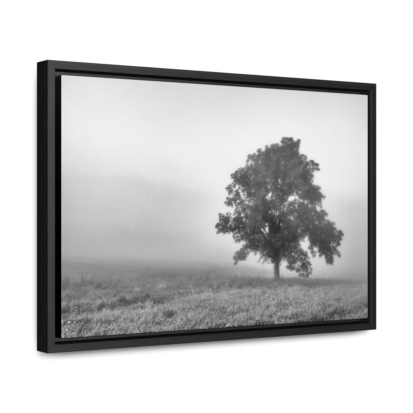 Tree in a Foggy Field Black and White Print