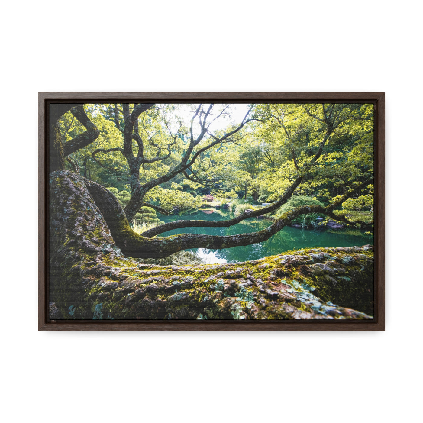 Flowing Tree Branches by a Pond Framed Canvas Art Print