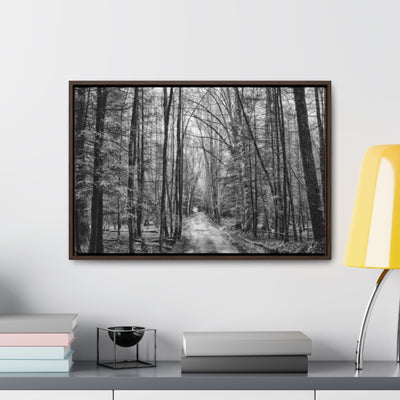 Dirt Road Black and White Framed Canvas Wrap