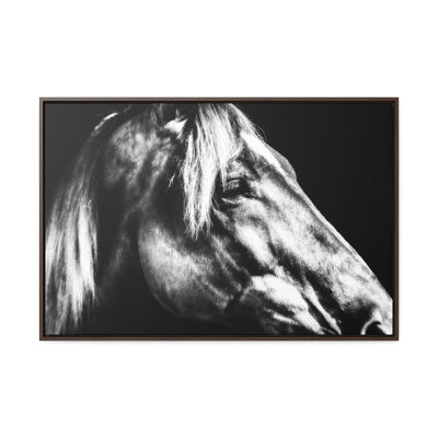 Black and White Horse Art Framed Canvas Wrap