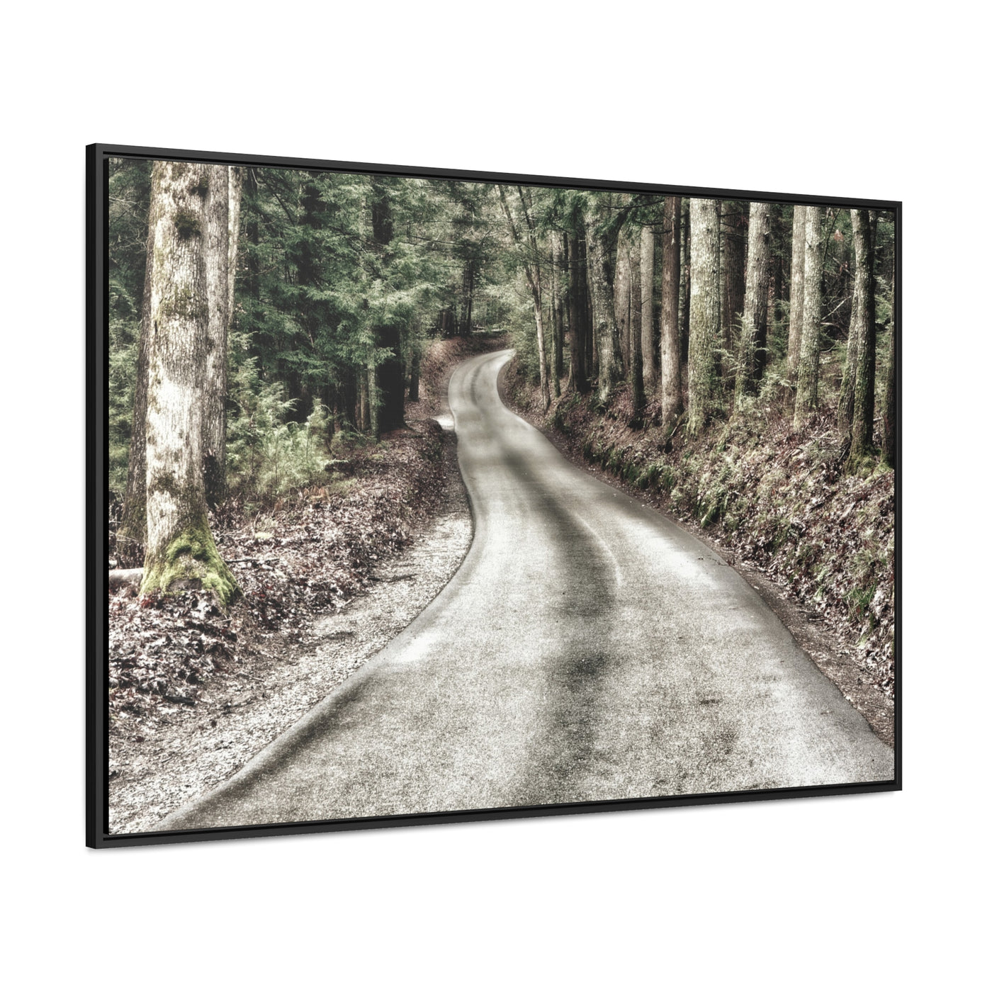 Rustic Mountain Road Framed Canvas Art Print