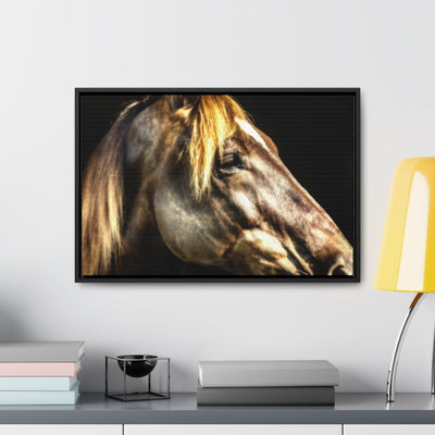 Horse Art Framed Canvas Print