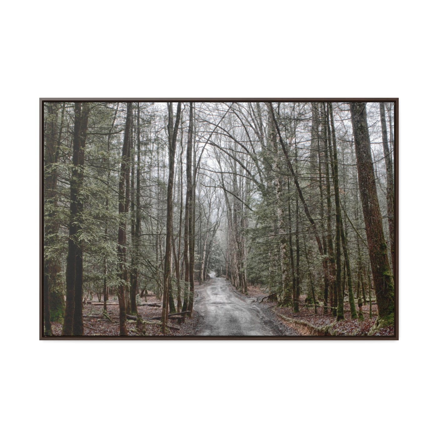 Mountain Road Framed Canvas Art