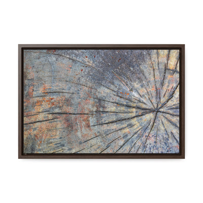 Tree Stump Rings Framed Canvas Rustic Art Print