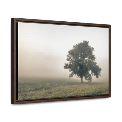 Tree in a Field Framed Canvas Wall Art Print