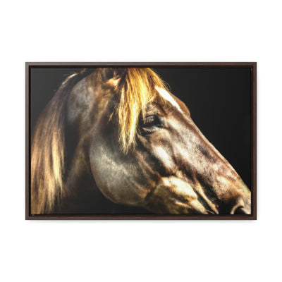 Horse Art Framed Canvas Print