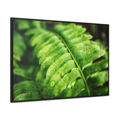 Fern Framed Canvas Calm Artwork