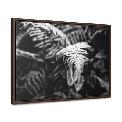 Calming Fern Art Framed Canvas Wrap