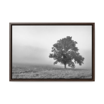 Tree in a Foggy Field Black and White Print