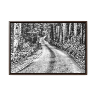 Black and White Mountain Road Framed Canvas Art Print