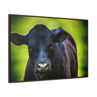 Framed Cow Wall Art