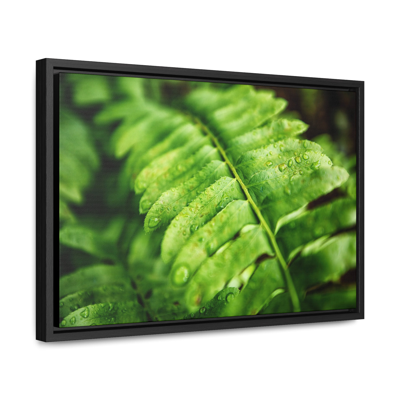 Fern Framed Canvas Calm Artwork