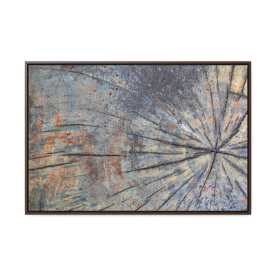 Tree Stump Rings Framed Canvas Rustic Art Print