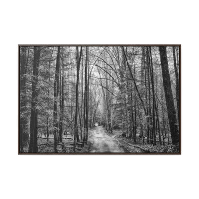 Dirt Road Black and White Framed Canvas Wrap