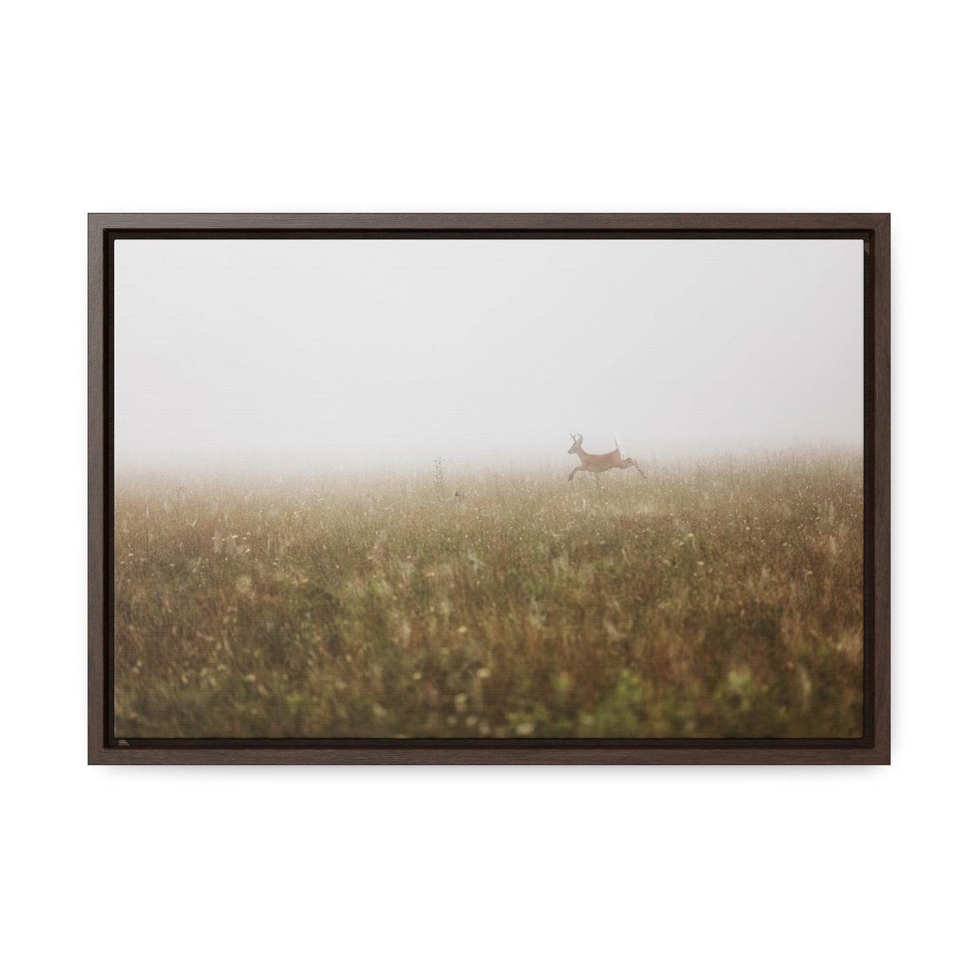 Whitetail Buck Jumping Framed Canvas Art Print