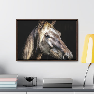 Rustic Horse Framed Canvas Art Print