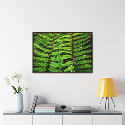 Beautiful Fern Framed Canvas Wall Art