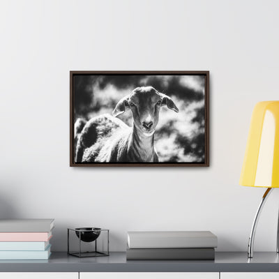 Black and White Goat Art Framed Canvas Wrap