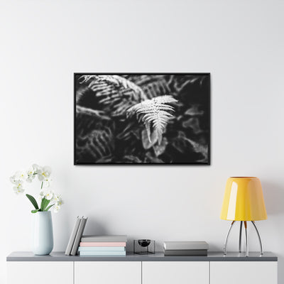 Calming Fern Art Framed Canvas Wrap