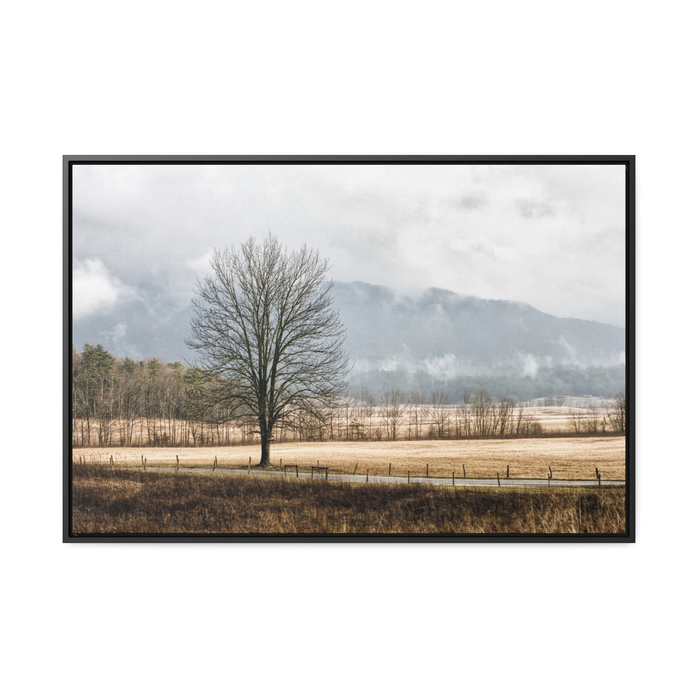 Winter Tree in a Field Art Print