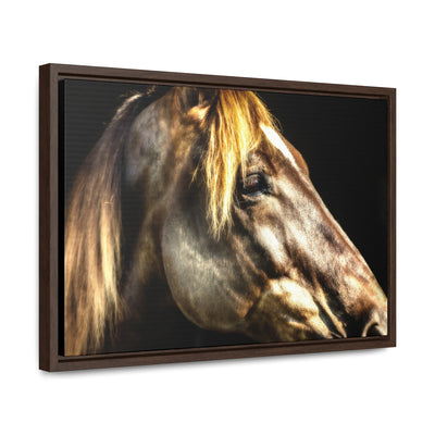 Horse Art Framed Canvas Print