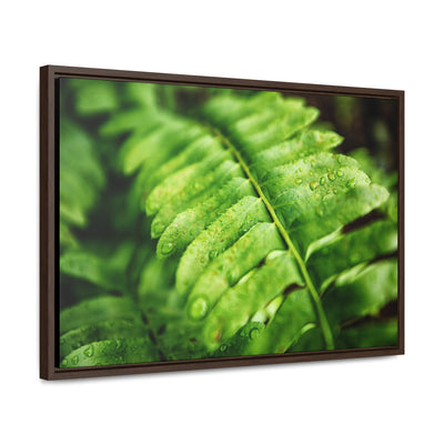 Fern Framed Canvas Calm Artwork