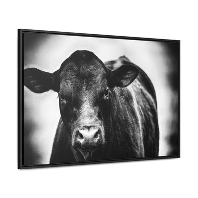 Black and White Cow Art Framed Canvas Wrap