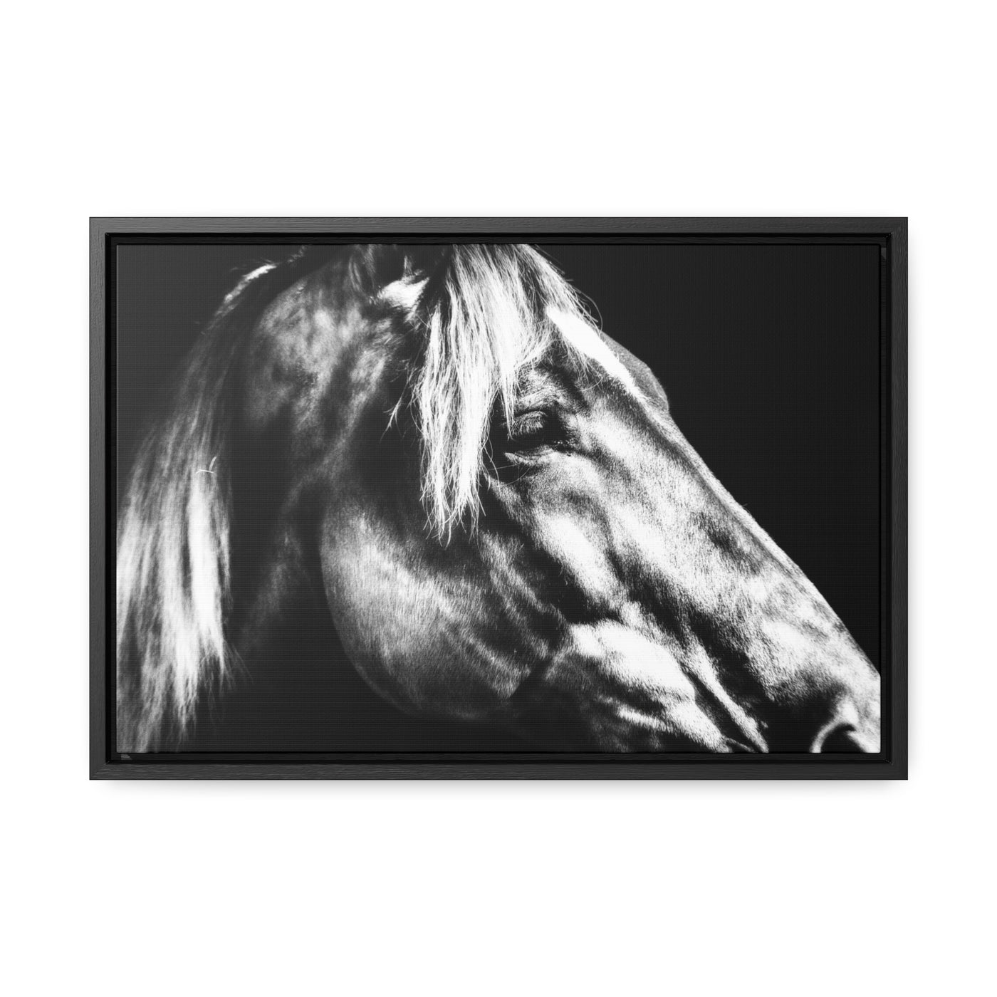 Black and White Horse Art