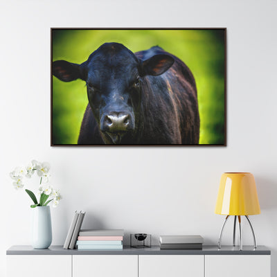 Framed Cow Wall Art