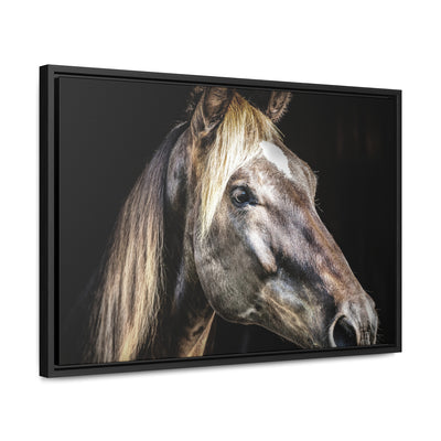 Rustic Horse Framed Canvas Art Print