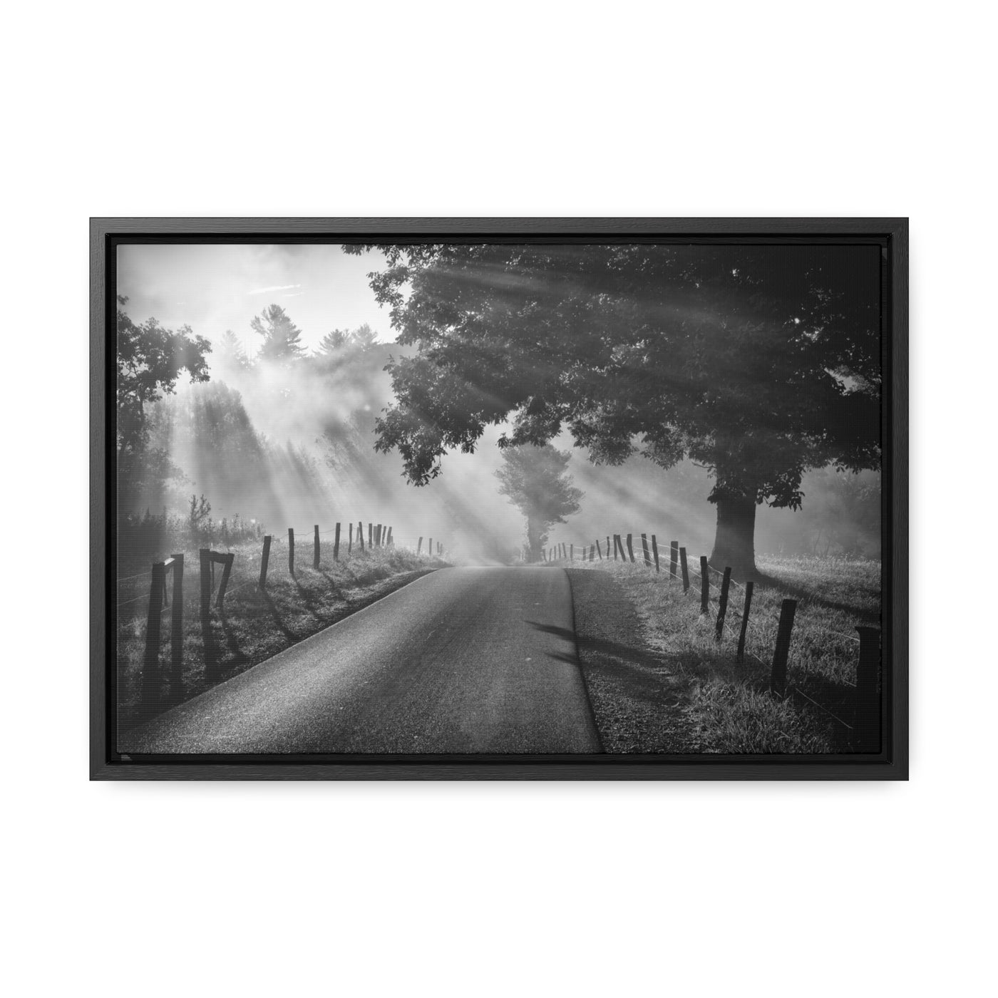 Old Country Road Black and White Framed Canvas Art