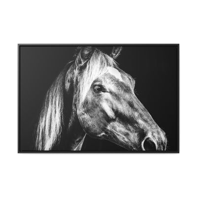 Black and White Horse Art Framed Canvas Print