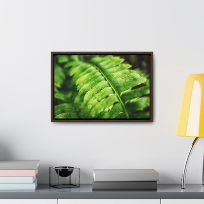 Fern Framed Canvas Calm Artwork