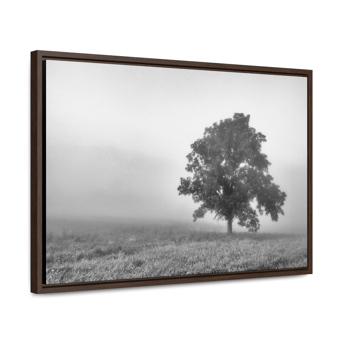 Tree in a Foggy Field Black and White Print