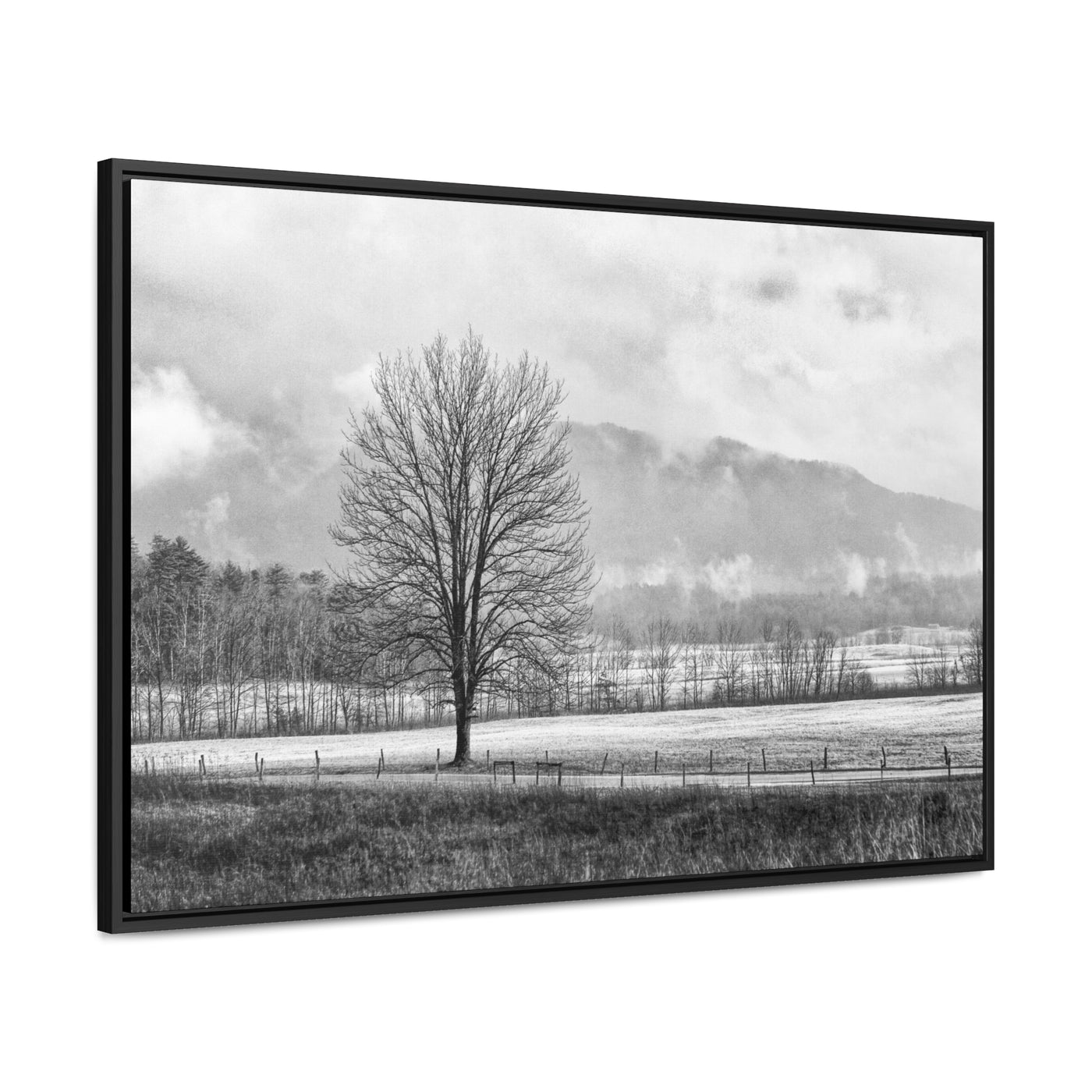 Black and White Tree and Country Road Framed Canvas Art Print