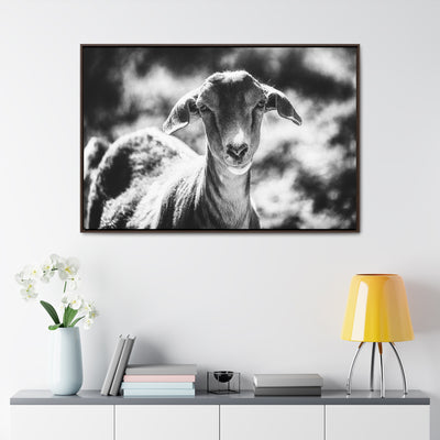 Black and White Goat Art Framed Canvas Wrap