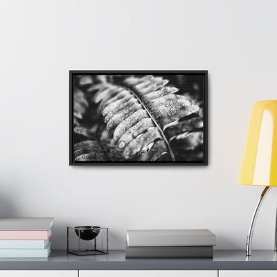 Black and White Fern Framed Canvas Wall Art Print