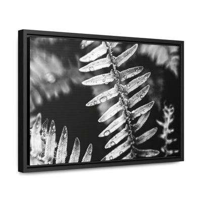 Calming Artwork - Black and White Fern Framed Canvas Art Print