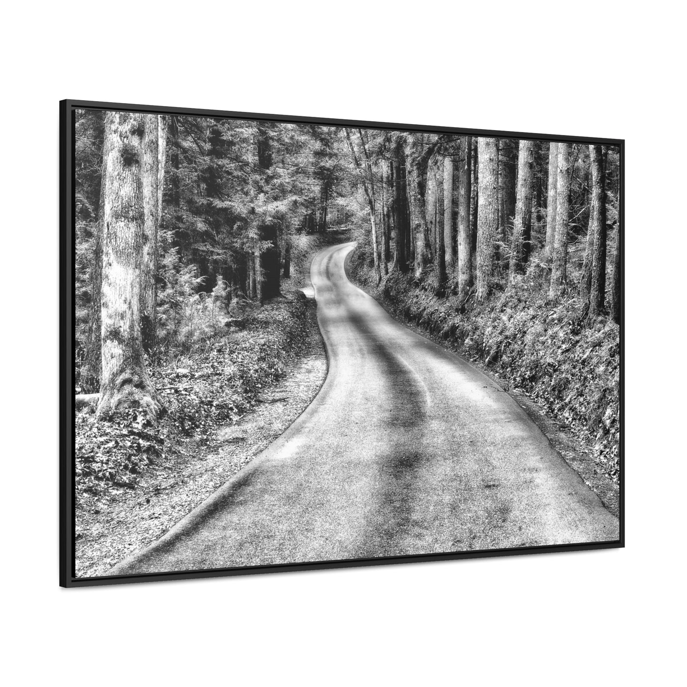 Black and White Mountain Road Framed Canvas Art Print