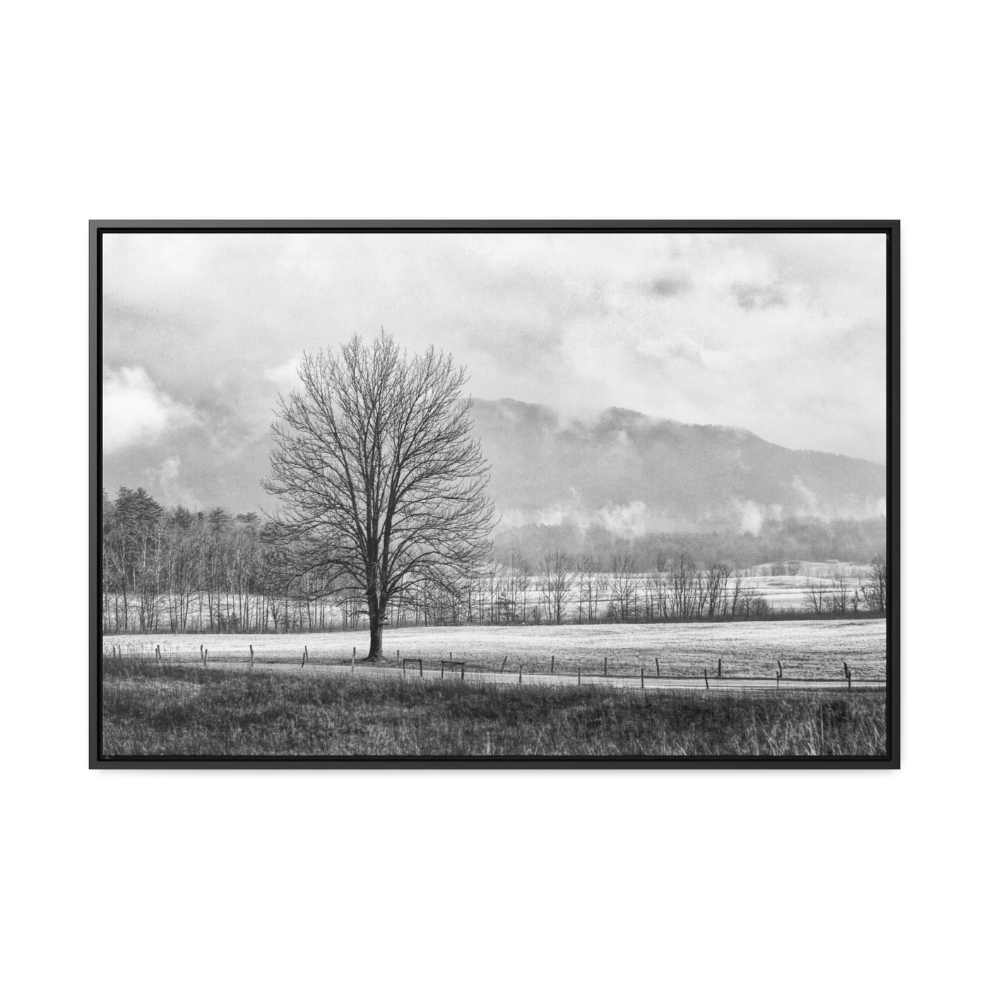 Black and White Tree and Country Road Framed Canvas Art Print