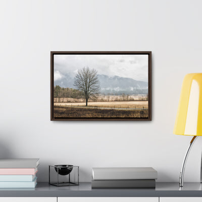 Winter Tree in a Field Framed Canvas Art Print