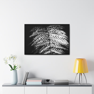 Relaxing Spa Art Black and White Fern Framed Canvas