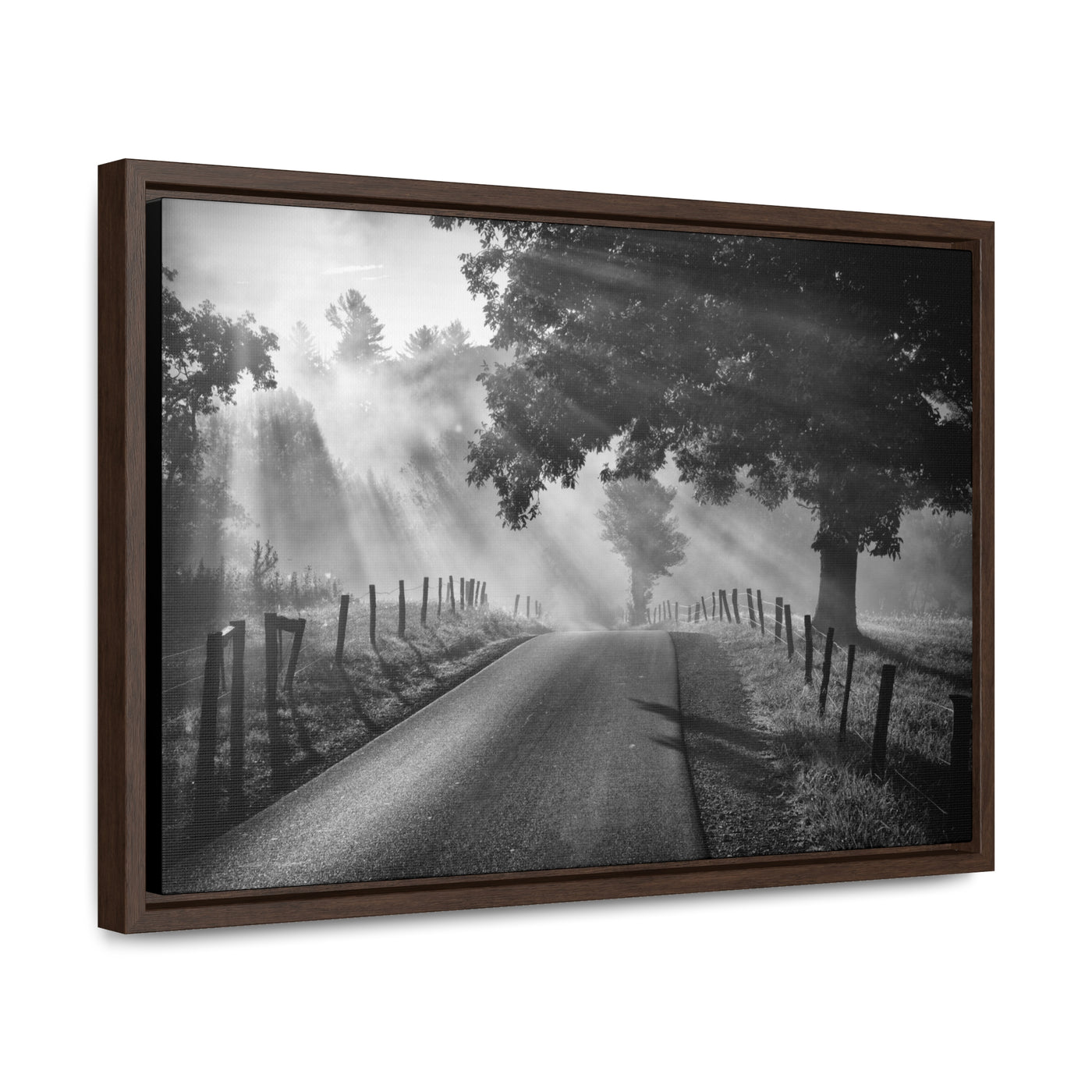 Old Country Road Black and White Framed Canvas Art