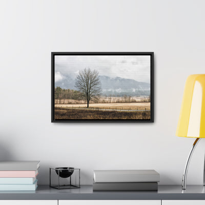 Winter Tree in a Field Framed Canvas Art Print