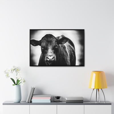 Black and White Cow Art Framed Canvas Wrap