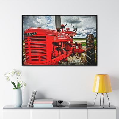 Red Tractor Farmall Framed Canvas Art Print